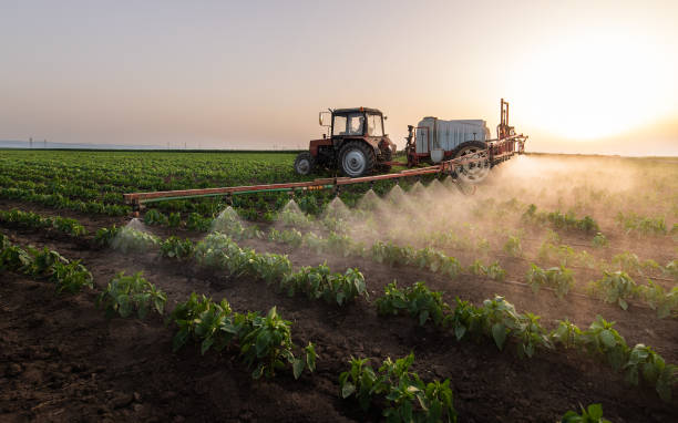 Trusted Ritzville, WA Pest Control Experts